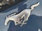 2025 Ford Mustang EcoBoost Premium Fastback